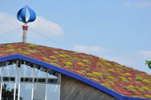 Klimagerechtes Dach des Besucherzentrums