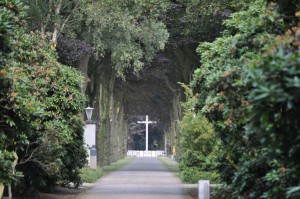 Soldatenfriedhof Ysselsteyn