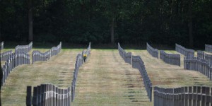 Soldatenfriedhof in Holland