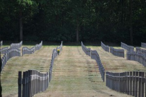 Soldatenfriedhof in Holland