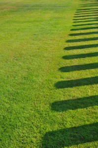 Jeder Schatten ein Grabstein