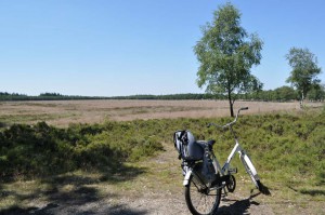 Mit dem Fahrrad durch den Nationalpark