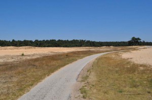 Wanderweg durch die Heide