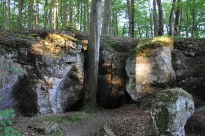 Felsen im Müllerthal