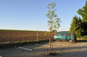 Schlafplatz in Luxemburg