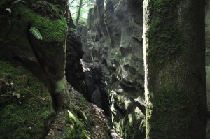 Enge Schlucht im Müllerthal