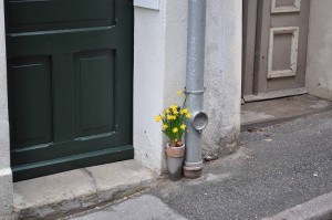 Einsame Blume