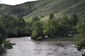 Flusslandschaft