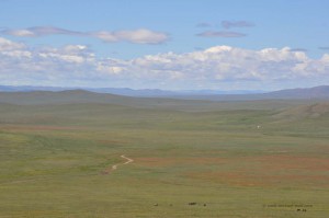 Weite Landschaft