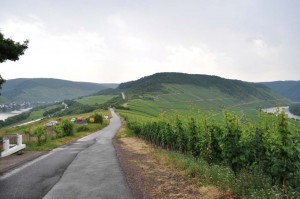 Die Moselschleife am Zeller Hamm
