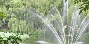Springbrunnen im See