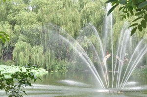 Springbrunnen im See