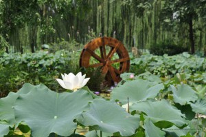 Chinesischer Garten im Alten Sommerpalast