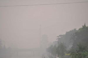 Ständig Smog