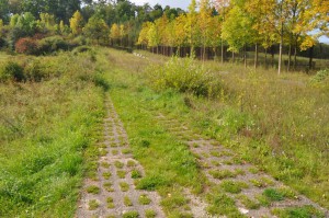 Alter Kolonnenweg