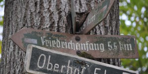Eingewachsenes Schild