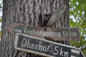 Eingewachsenes Schild
