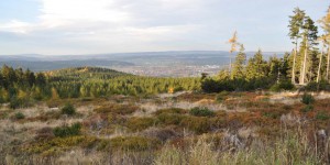 Blick vom Spießberg