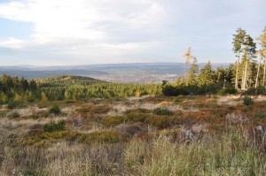 Blick vom Spießberg