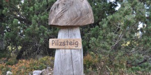 Pilzsteig