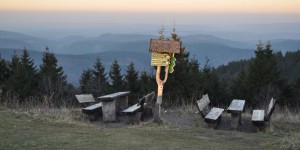 Panorama vom Schneekopf