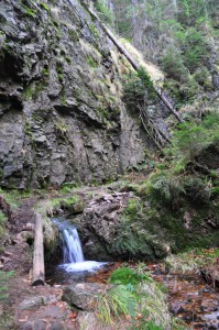 Naturdenkmal Röllchen