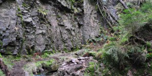 Naturdenkmal Röllchen