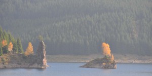 Insel bei der Schmalwassertalsperre