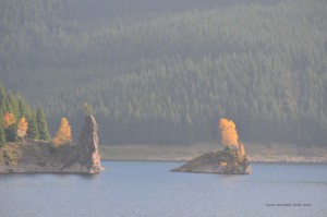 Insel bei der Schmalwassertalsperre