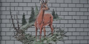 Hausfassade in Frauenwald