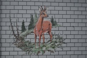 Hausfassade in Frauenwald