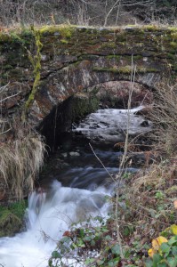 Brücke am Unterbecken in Goldisthal