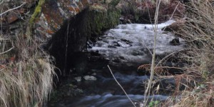 Brücke am Unterbecken in Goldisthal