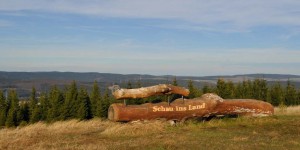 Rastplatz aus einem Baumstamm