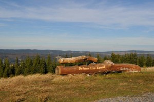 Rastplatz aus einem Baumstamm