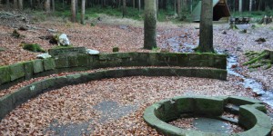 Quelle der Schwarza bei Limbach