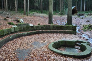 Quelle der Schwarza bei Limbach