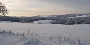 Winterlicher Thüringer Wald