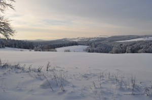 Winterlicher Thüringer Wald