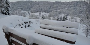 Schneelandschaft im Thüringer Wald