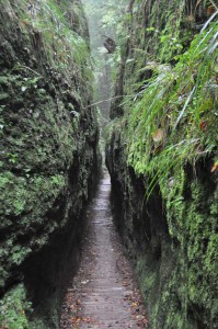 Drachenschlucht bei Eisenach