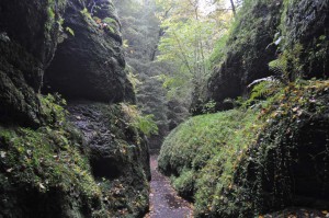 Drachenschlucht bei Eisenach