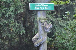 Hohe Wiese