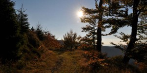 Wanderweg am Großen Inselberg