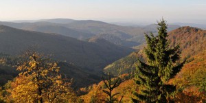 Blick vom Venezianerstein