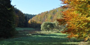 Durch das Spittertal zum Spitterfall