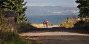 Wanderweg am Gothablick