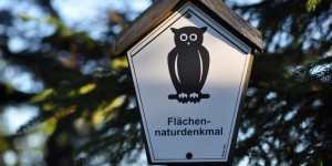 Naturflächendenkmal Hohe Möst