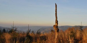Blick vom Spießberg