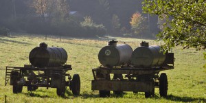 Landwirtschaft im Thüringer Wald